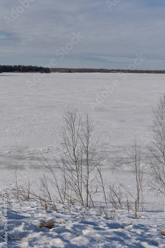 Wallpaper Mural Frozen Astotin Lake on a Cold Winter Day Torontodigital.ca