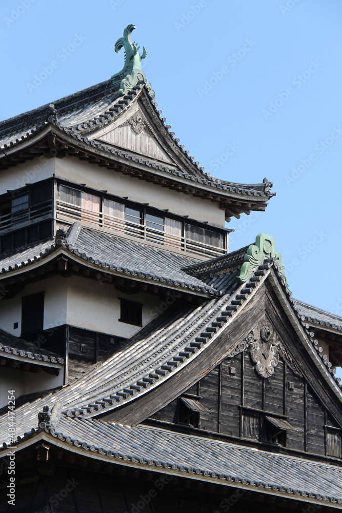 castle in matsue (japan)