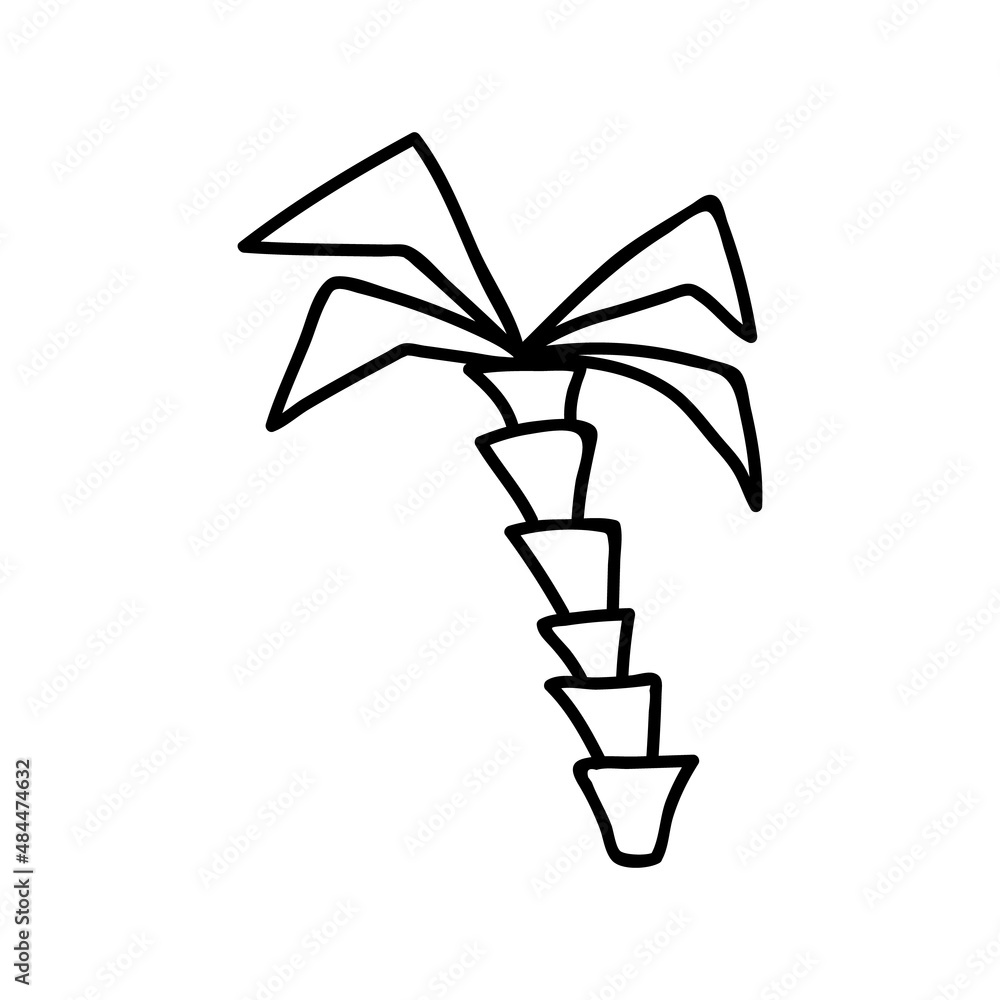 Single hand drawn palm. Vector illustration in doodle style. Isolate on a white background. Summer vibe Single hand drawn palm. Vector illustration in doodle style. Isolate on a white background. Summer vibe