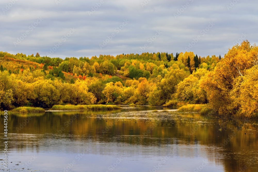 Bright autumn trees on the river bank. Autumn landscape Bright autumn trees on the river bank. Autumn landscape
