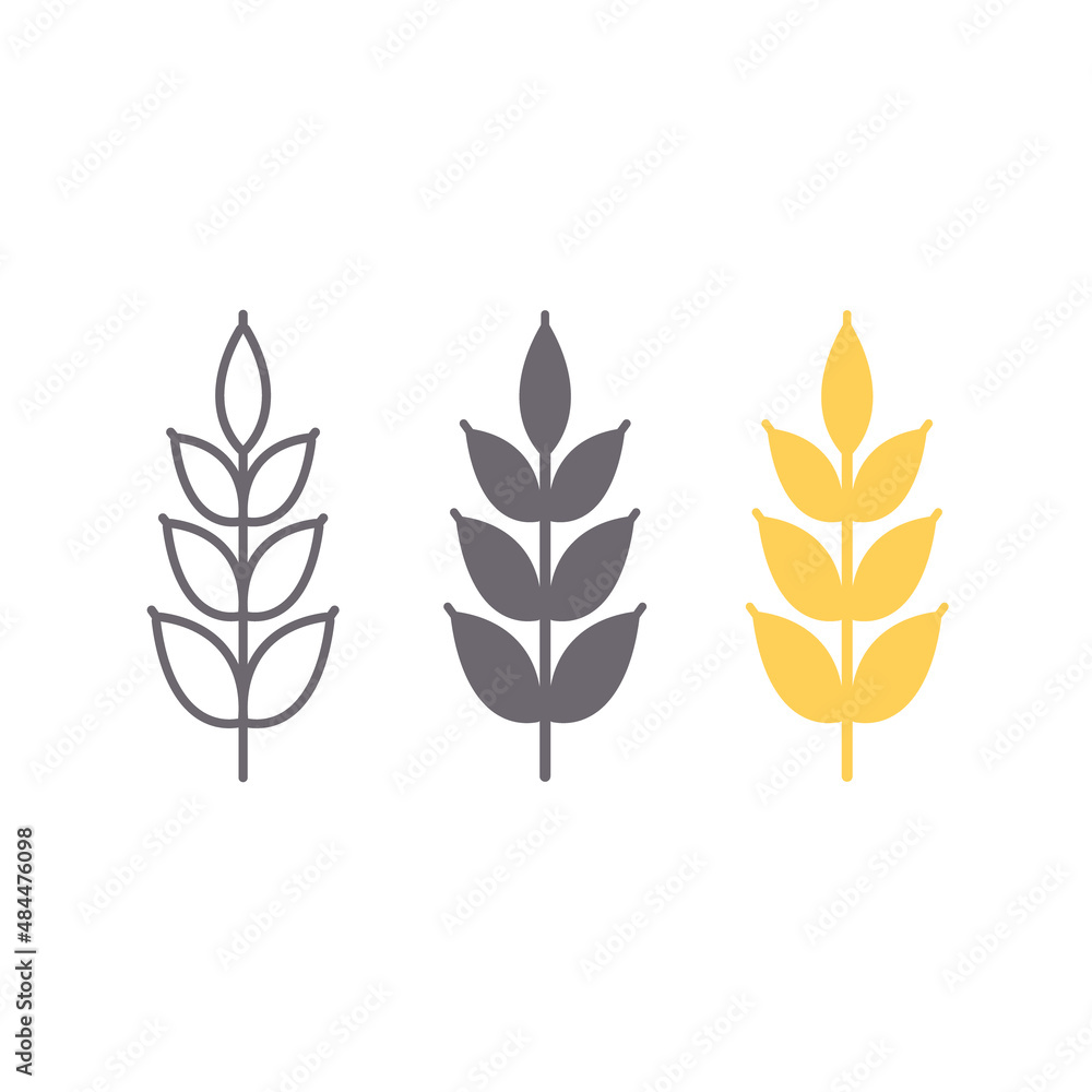 Wheat spike vector icon set isolated on white, grain ear icon element for organic food design