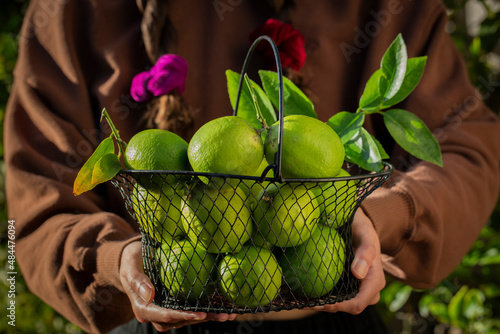Girl Holding Basket of Limes Under the Sun