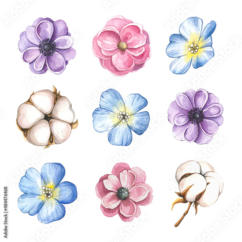 Flowers set