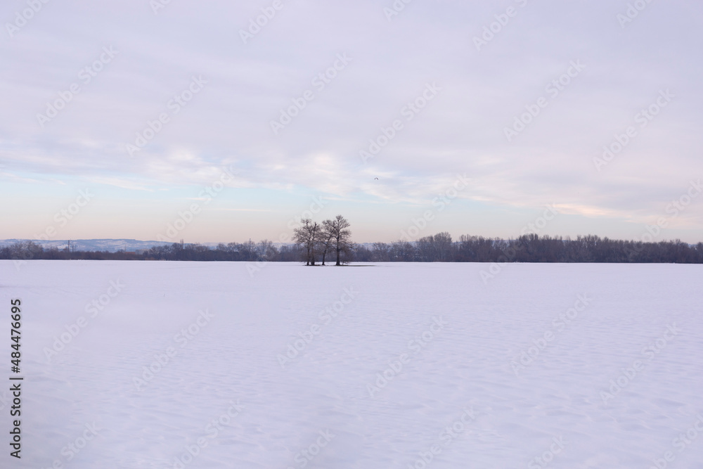 Snowy landscape with distant trees and a sky with clouds