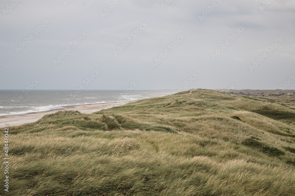 beach and dunes at the north sea