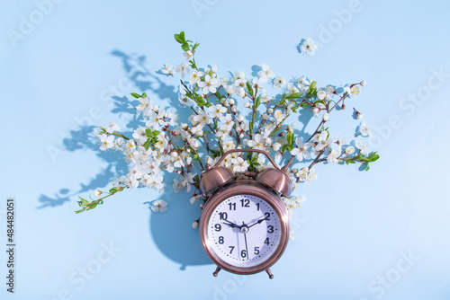 Alarm clock and blossom branches on a blue background. Flat lay, top view composition
