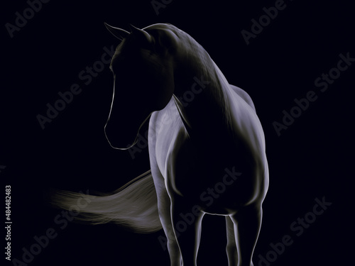Obraz na plátně A silhouette of a standing horse from front. 3D illustration.