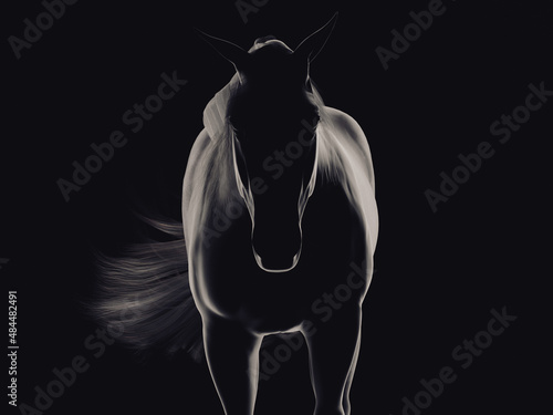 Silhouette of a standing horse from front. 3D illustration.