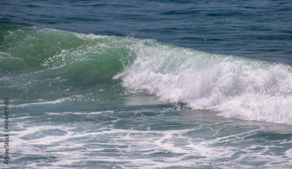 Seascape with a wave rolling towards the beach