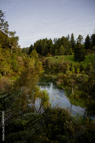 New Zealand - Blue Springs