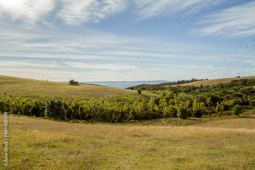 New Zealand - Shakespear Regional Park