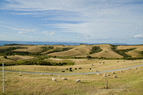New Zealand - Shakespear Regional Park