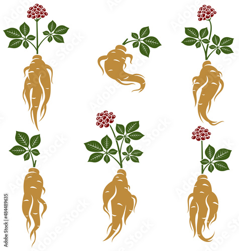 Red ginseng set. Collection icon red ginseng. Vector photo