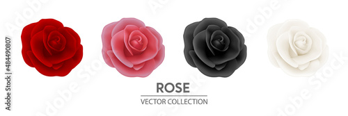 Vector 3d Realistic Flower Rose Icon Set Closeup Isolated on White. Red, Pink, Black, White Rose Buds. Decorative Roses Collection. Design Template of Rose Flower, Clipart