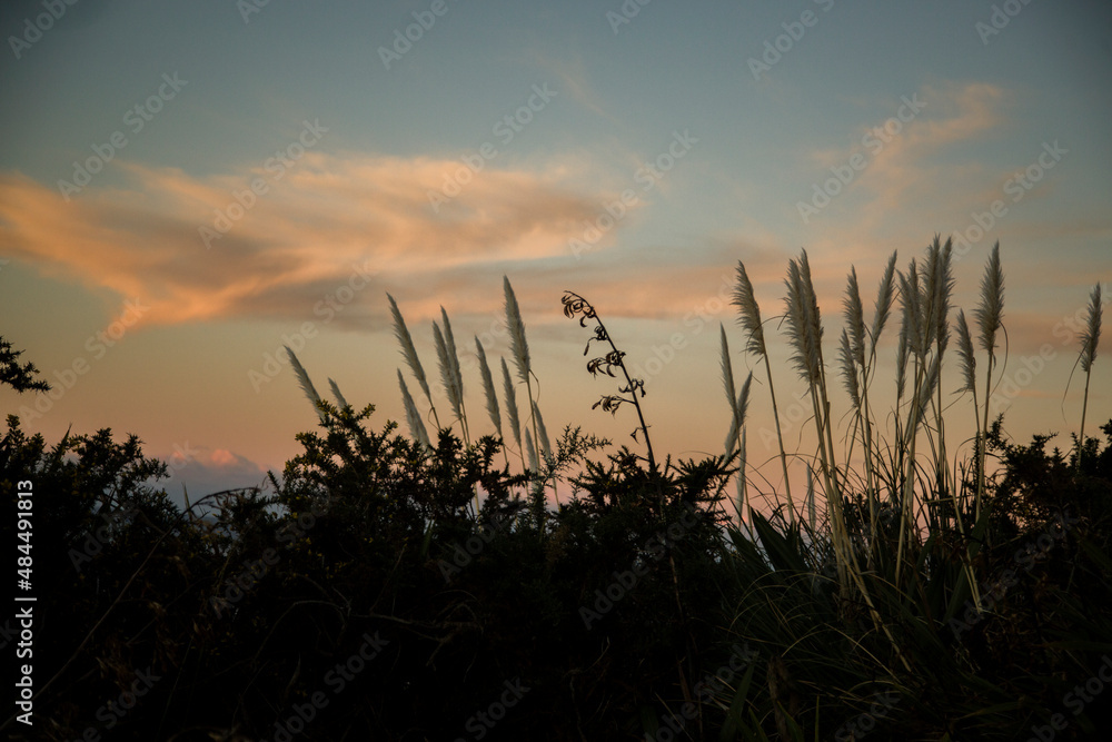 New Zealand - Whitianga - Coromandel