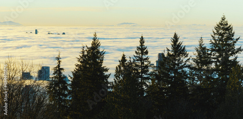 High-rise towers in Fraser Valley, BC, partially covered by dense cloud inversion.