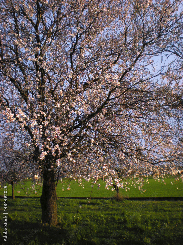 inizio primavera_04