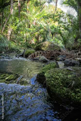 New Zealand- Pihi Waterfall