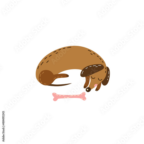 Cute dachshund in cartoon style lying down