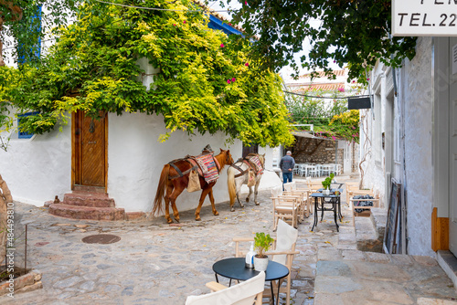 Fototapeta Naklejka Na Ścianę i Meble -  A local Greek leads his two horses in a small, picturesque alley alongside a sidewalk cafe on the Greek island of Hydra, one of the Saronic islands of Greece.