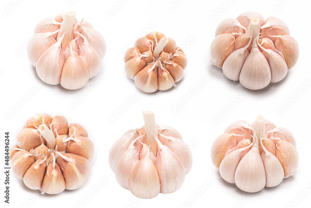 Fototapeta premium Garlic isolated on a white background.