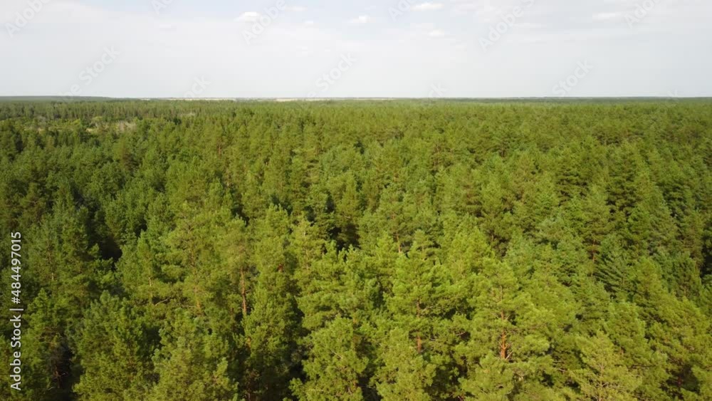 aerial view of the coniferous forest. video from a quadrocopter aerial view of the coniferous forest. video from a quadrocopter