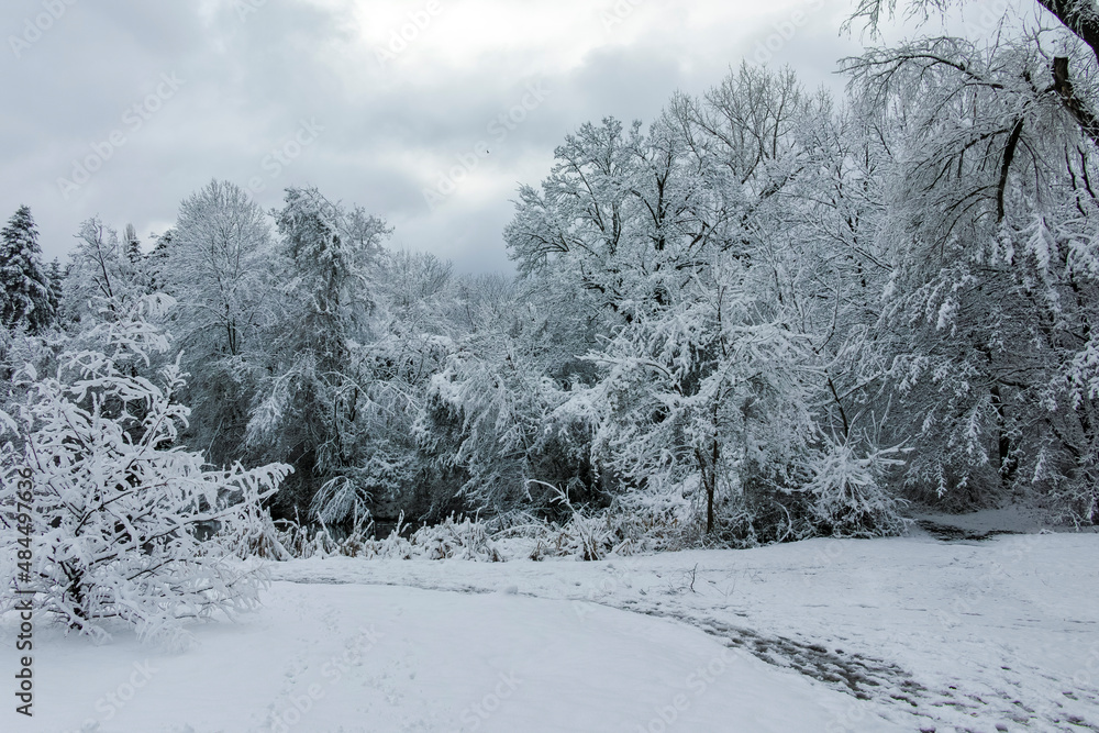 Fototapeta premium Winter view of South Park in city of Sofia, Bulgaria