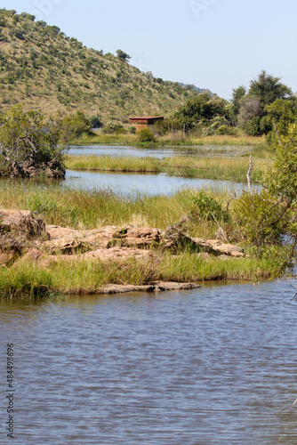 Pilanesberg National Park Hide