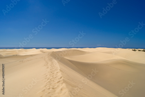 Blue sky day at the dunes