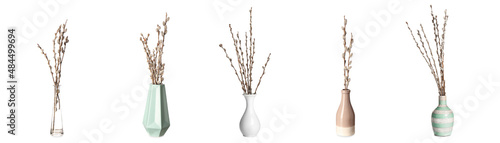 Vases with willow branches on white background
