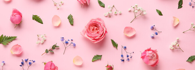Beautiful fresh flowers on pink background