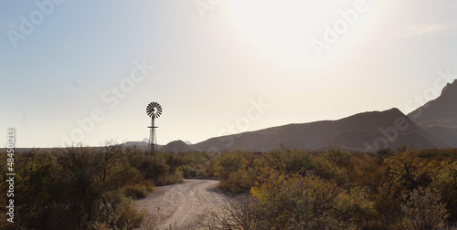 Desert Scene