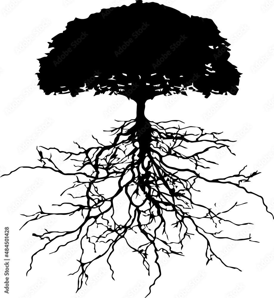 Tree With Roots Silhouettes Tree With Roots SVG EPS PNG Stock Vector ...