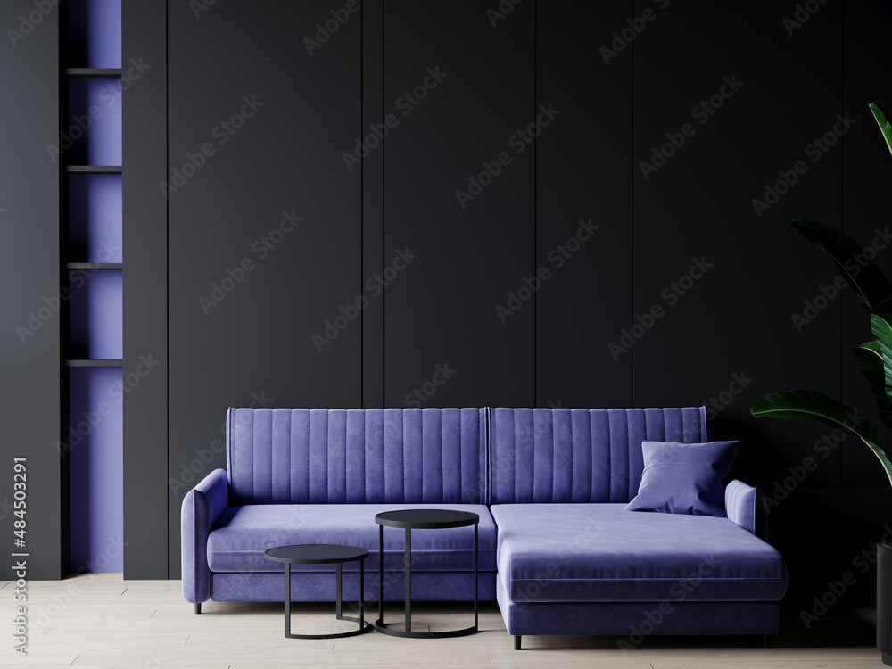 Living room in black and purple colors. The sofa and shelves in very ...