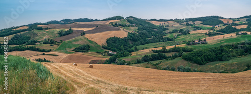 The cultivated hills between Fano and Pesaro in summer season. Pesaro and Urbino province, Marche, Italy. photo