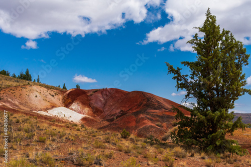 John Day Fossil Beds National Monument, Oregon © TSchofield