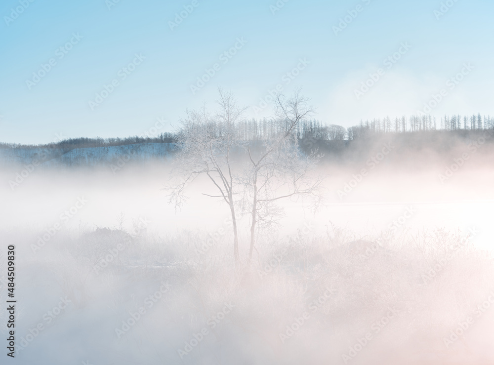霧氷と気嵐 