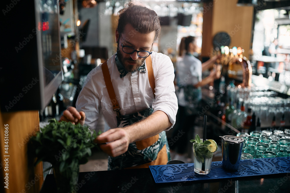 Professional barista uses mint herb while making mojito cocktail in pub.