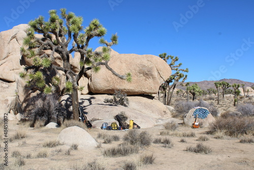 joshua tree national park