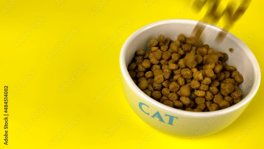 Dry food for kittens is poured into large white bowl on a yellow background. Pets feed.Cat food relishing and waking past poured into an white bowl for animals. Copy space. Dry food for kittens is poured into large white bowl on a yellow background. Pets feed.Cat food relishing and waking past poured into an white bowl for animals. Copy space.