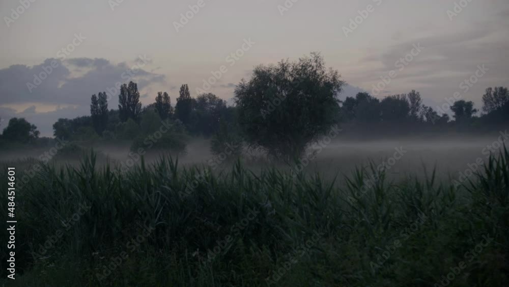 Fog morning on floodplain of the meadow near a rural village. Poor visibility due to fog. Bad weather condition with poor visibility. Fog morning on floodplain of the meadow near a rural village. Poor visibility due to fog. Bad weather condition with poor visibility.