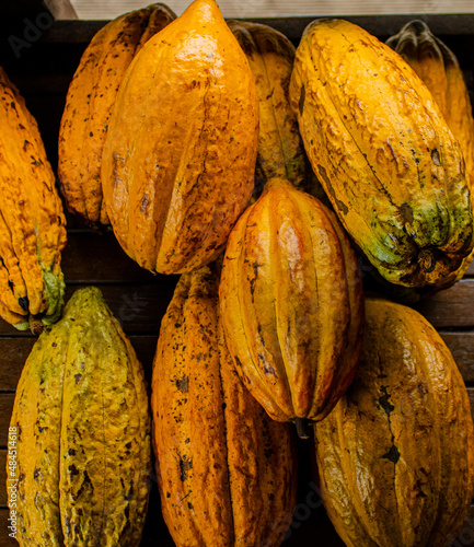 The ancestral chocolate of the kichwas amazon communities of Ecuador. They use the finest and best cocoa plants in the world, this kind is called 