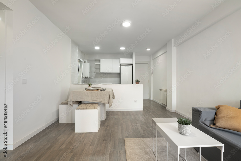 Living room with stoic decoration and white walls, dining table and island with equipped kitchen in the background Living room with stoic decoration and white walls, dining table and island with equipped kitchen in the background