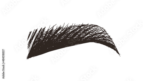 eyebrow sketch icon. eyebrow drawing by hand. permanent makeup, tattoo. female face