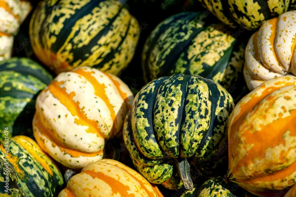 pumpkins on a market stall