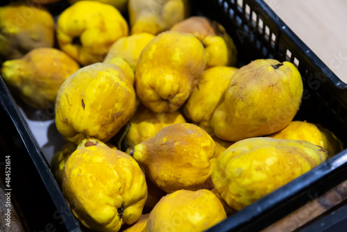 Picture of fresh aiva on counter in food market, no people photo