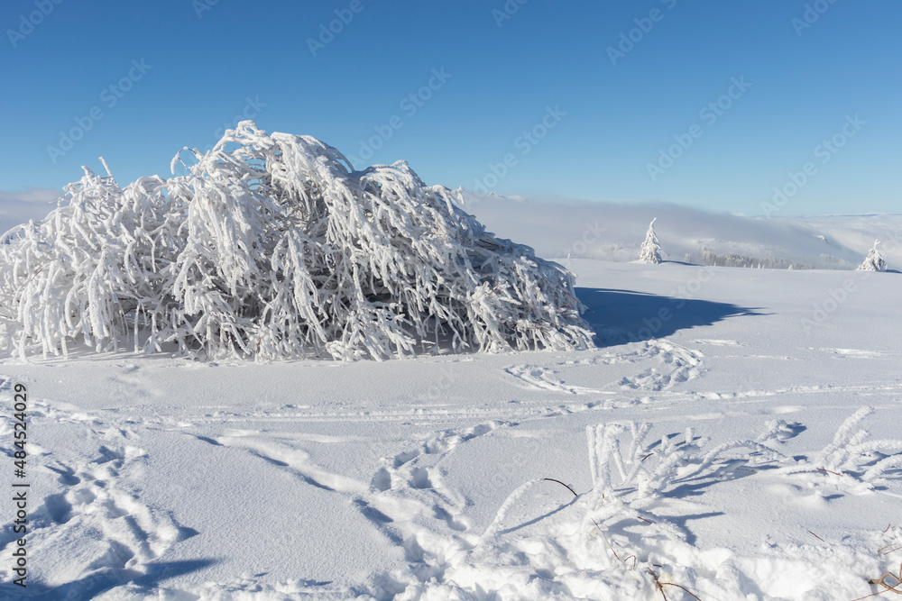 Obraz premium Aerial Winter view of Vitosha Mountain, Bulgaria