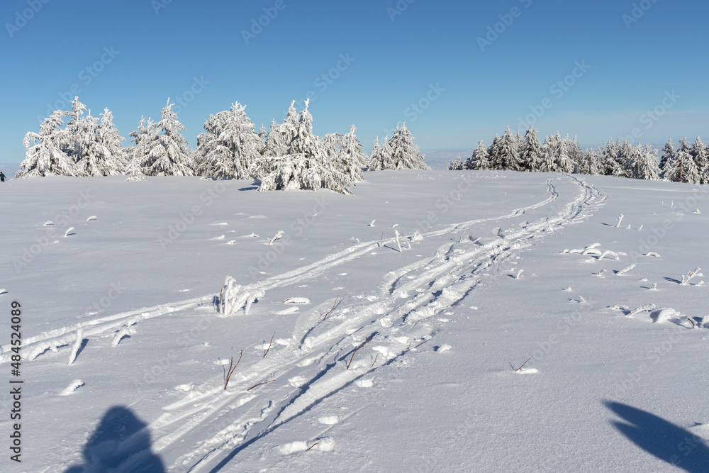 Obraz premium Aerial Winter view of Vitosha Mountain, Bulgaria