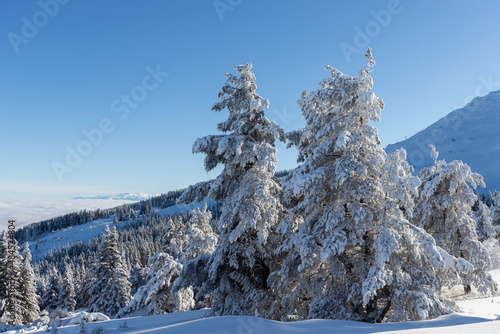 Aerial Winter view of Vitosha Mountain, Bulgaria