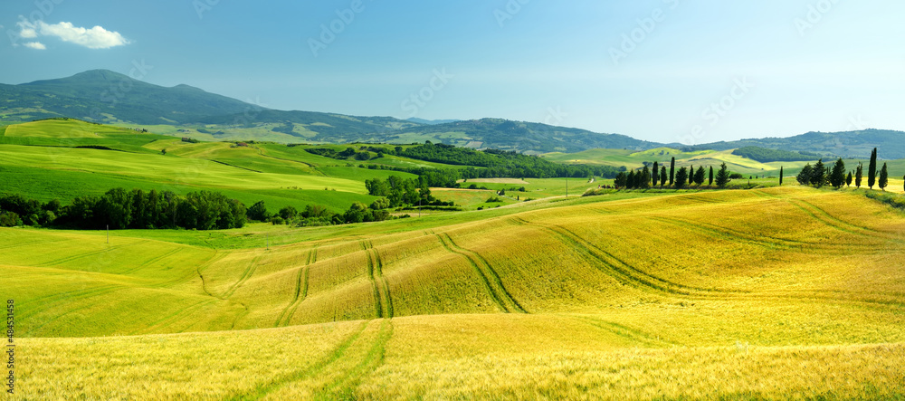 Fototapeta premium Stunning view of fields and farmlands with small villages on the horizon. Summer rural landscape of rolling hills, curved roads and cypresses of Tuscany, Italy.